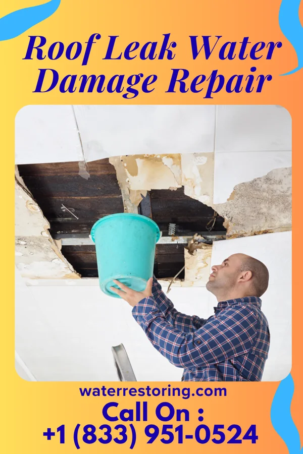 Roof Leak Water Damage Repair in Lakeside, FL