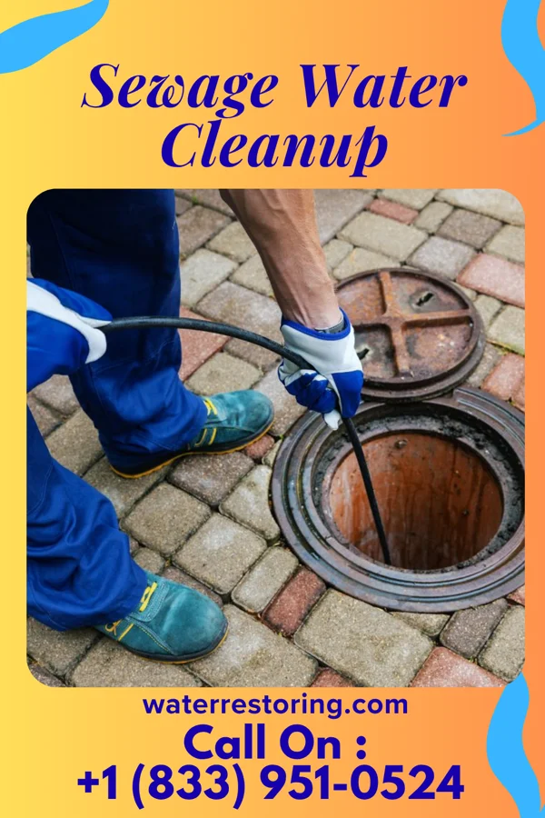 Sewage Water Cleanup in Lakeside, FL